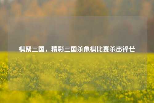 棋聚三国,精彩三国杀象棋比赛杀出锋芒