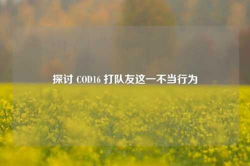 探讨 COD16 打队友这一不当行为
