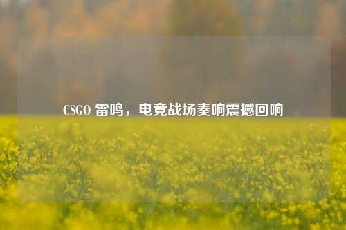 CSGO 雷鸣,电竞战场奏响震撼回响