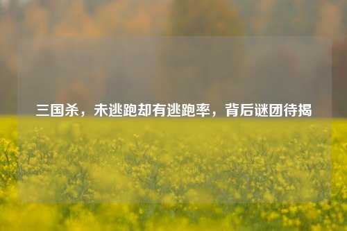 三国杀,未逃跑却有逃跑率,背后谜团待揭