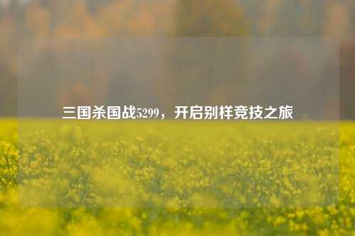 三国杀国战5299,开启别样竞技之旅