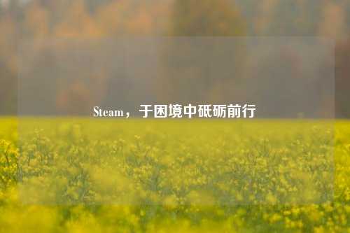 Steam,于困境中砥砺前行