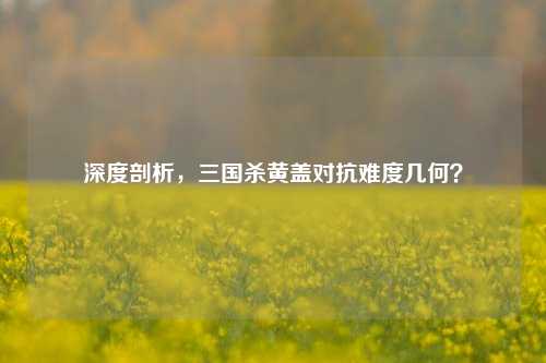 深度剖析,三国杀黄盖对抗难度几何?