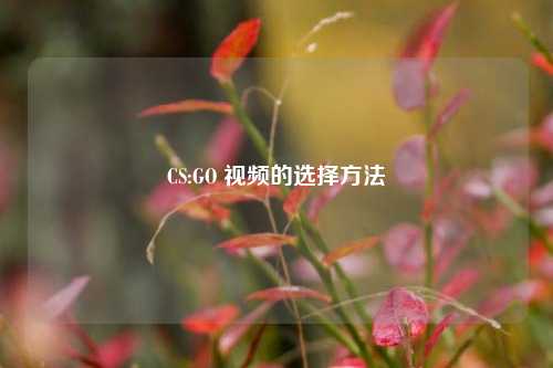 CS:GO 视频的选择