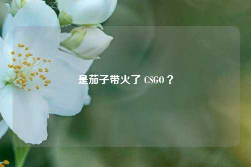 是茄子带火了 CSGO ?
