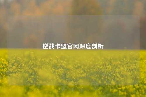 逆战卡盟官网深度剖析