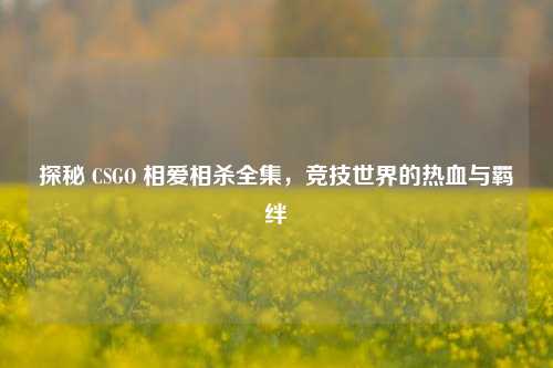 探秘 CSGO 相爱相杀全集,竞技世界的热血与羁绊