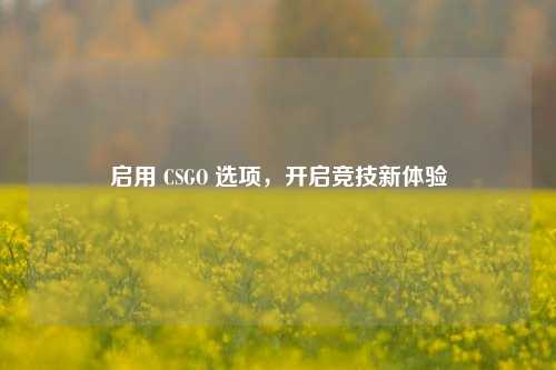 启用 CSGO 选项,开启竞技新体验