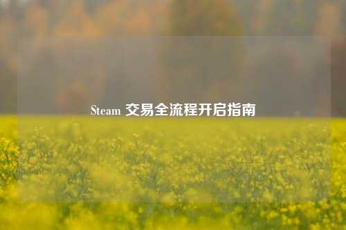 Steam 交易全流程开启指南