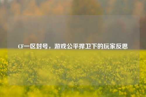CF一区封号,游戏公平捍卫下的玩家反思
