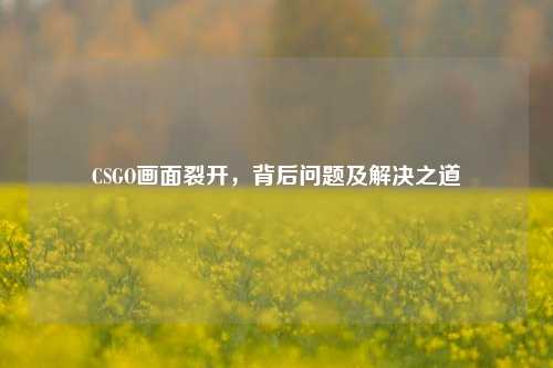 CSGO画面裂开,背后问题及解决之道
