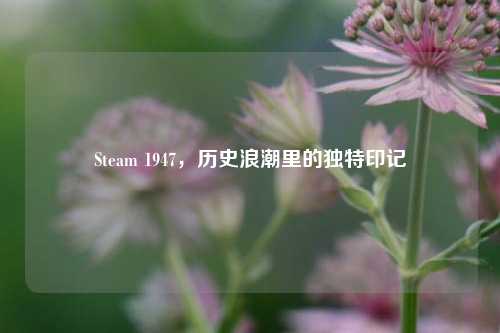 Steam 1947,历史浪潮里的独特印记