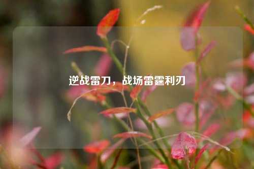 逆战雷刀,战场雷霆利刃