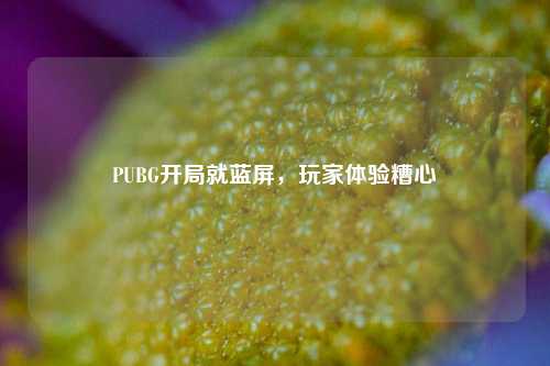 PUBG开局就蓝屏,玩家体验糟心