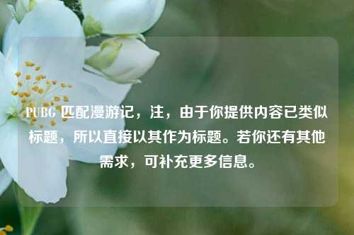 PUBG 匹配漫游记,注,由于你提供内容已类似标题,所以直接以其作为标题。若你还有其他需求,可补充更多信息。