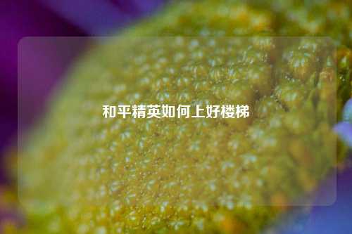 和平精英如何上好楼梯