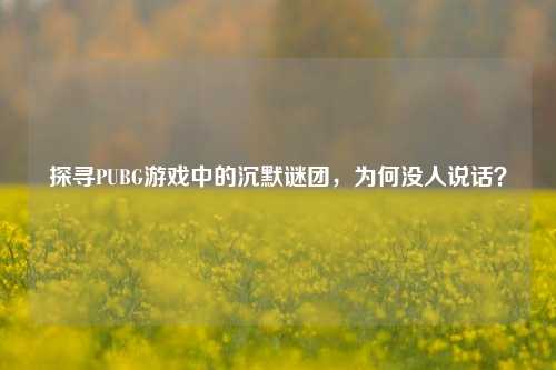 探寻PUBG游戏中的沉默谜团,为何没人说话?