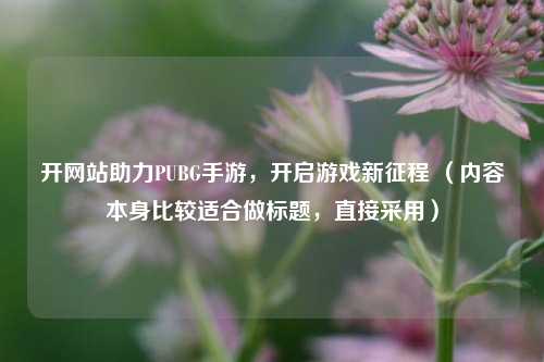 开网站助力PUBG手游,开启游戏新征程 (内容本身比较适合做标题,直接采用)