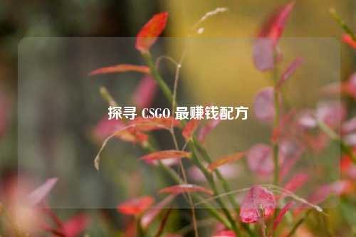 探寻 CSGO 更赚钱配方