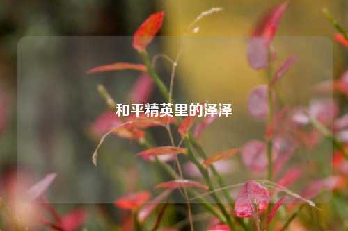 和平精英里的泽泽