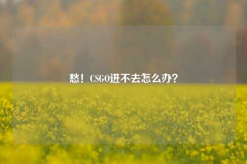 愁!CSGO进不去怎么办?
