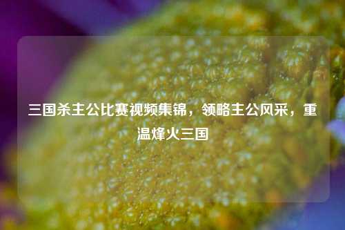 三国杀主公比赛视频集锦,领略主公风采,重温烽火三国