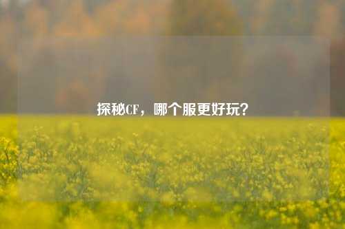 探秘CF,哪个服更好玩?