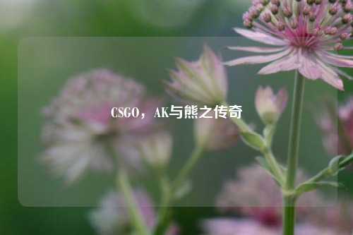 CSGO,AK与熊之传奇