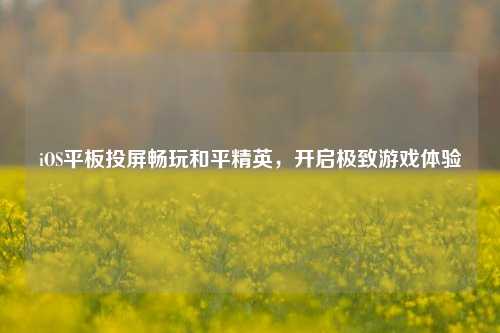 iOS平板投屏畅玩和平精英,开启极致游戏体验