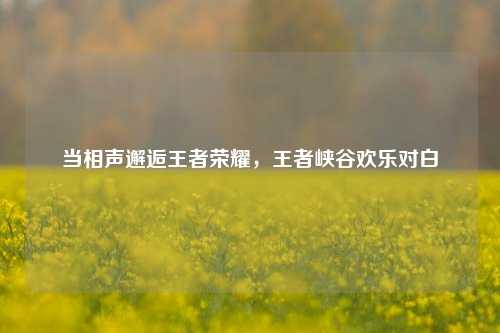 当相声邂逅王者荣耀,王者峡谷欢乐对白