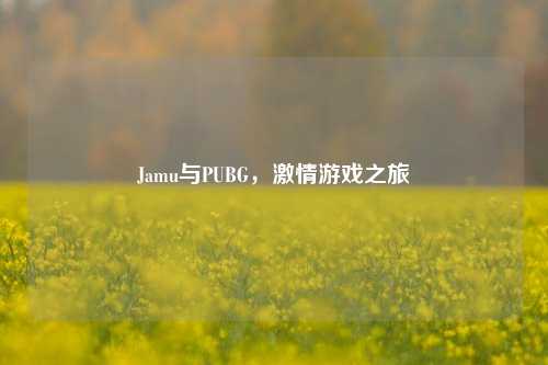 Jamu与PUBG,***游戏之旅
