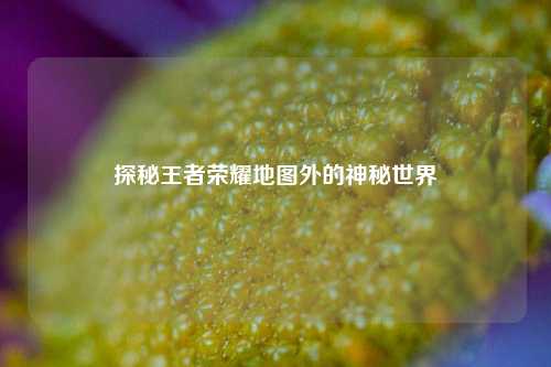 探秘王者荣耀地图外的神秘世界