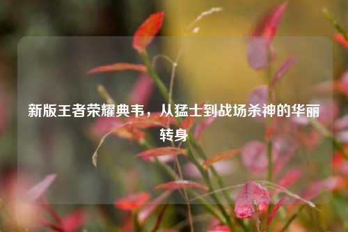 新版王者荣耀典韦,从猛士到战场杀神的华丽转身