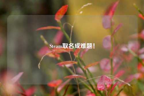 Steam取名成难题!