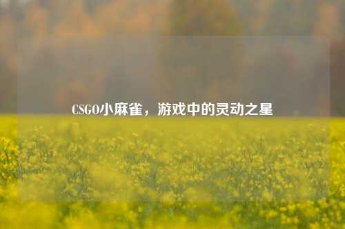 CSGO小麻雀,游戏中的灵动之星