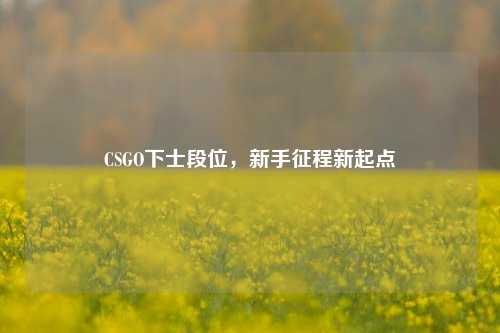 CSGO下士段位,新手征程新起点