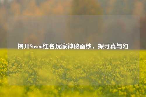 揭开Steam红名玩家神秘面纱,探寻真与幻