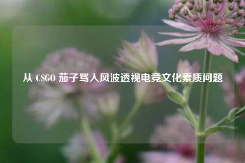 从 CSGO 茄子骂人风波透视电竞文化素质问题
