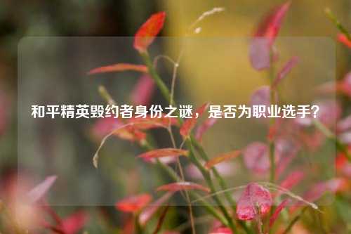和平精英毁约者身份之谜,是否为职业选手?