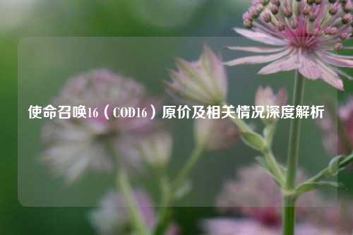 使命召唤16(COD16)原价及相关情况深度解析