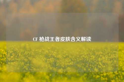 CF 枪战王者皮肤含义解读