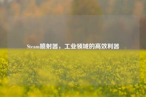 Steam喷射器,工业领域的高效利器
