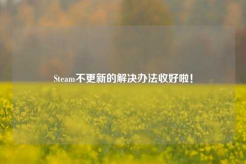 Steam不更新的解决办法收好啦!