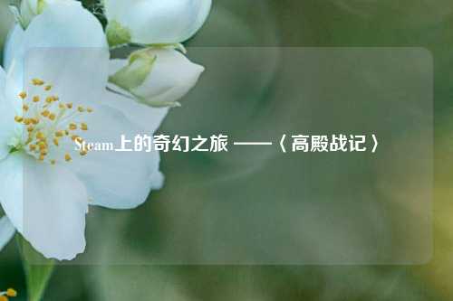 Steam上的奇幻之旅 ——〈高殿战记〉