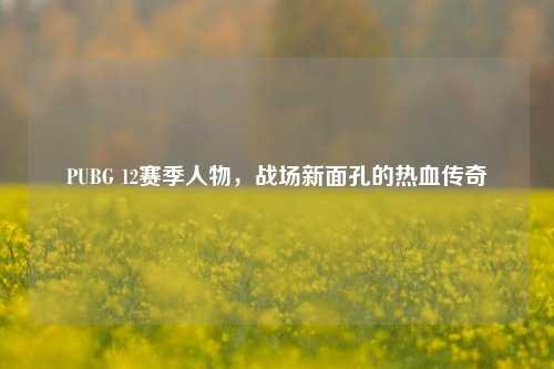 PUBG 12赛季人物,战场新面孔的热血传奇