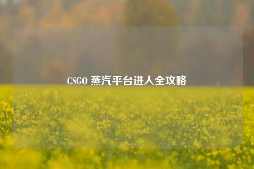 CSGO 蒸汽平台进入全攻略