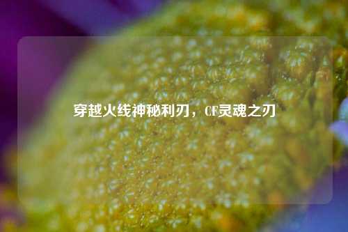 穿越火线神秘利刃,CF灵魂之刃