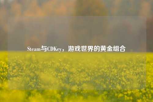 Steam与CDKey,游戏世界的黄金组合