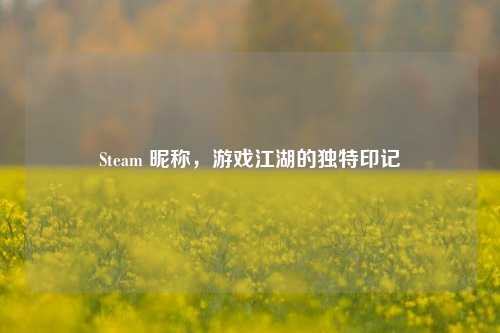 Steam 昵称,游戏江湖的独特印记