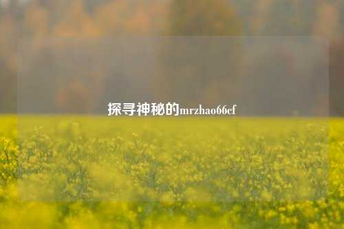 探寻神秘的mrzhao66cf